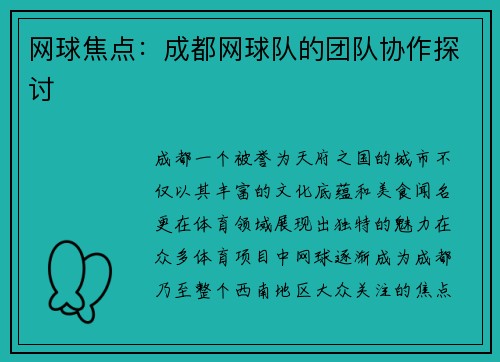 网球焦点：成都网球队的团队协作探讨